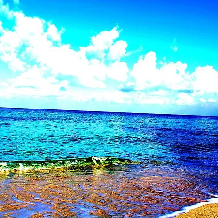 Jessy * Tropea